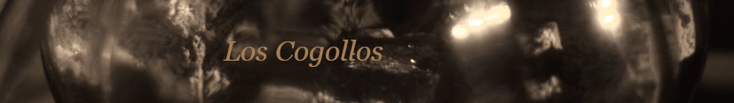 Los cogollos ficción por Octavio Gasca